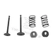 VALVE KIT FITS/REPL. Honda GX240